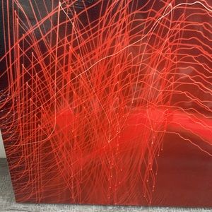 Lovely Star Photography on Canvas